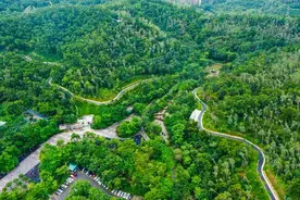 九九重阳节，龙岗的山峰你想爬哪一座？图片