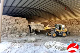 临泽融媒：新华镇小秸秆大利用 致富路上“香饽饽”图片