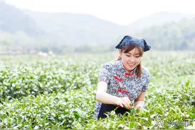 怎么理解“宁娶丧偶女，不娶离异妇；宁吃未熟米，不吃隔年谷”？图片