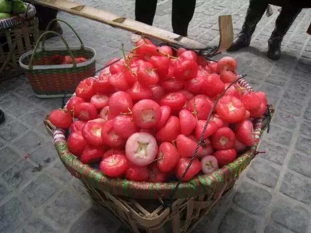 海南的水果上市时间表你知道有什么水果吗？