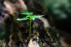 高中数学必修一重点知识导入1：集合的含义与表示