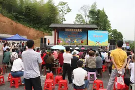五一去哪儿玩？芦淞区白关卦石村的向日葵花田，邀你来打卡！图片