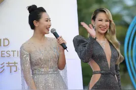 海南岛国际电影节红毯：李玟妖娆，张信哲脸肿，李纯高贵马丽沧桑图片