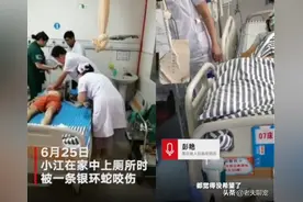小伙蹲坑被银环蛇咬伤，失去触觉一年未恢复？不愧是天朝杀人王图片