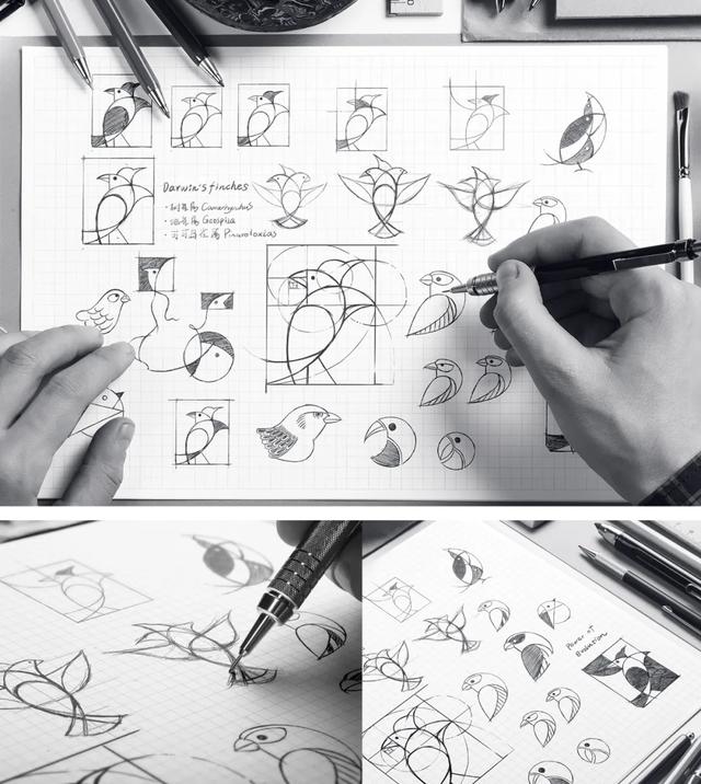 �����Ƴ����Դ�����LOGO��