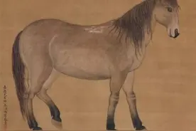 古代马的称呼还有这么多，你知道吗？图片