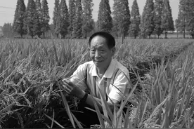 他是真正的粮食英雄！外媒集体刷屏悼念袁隆平图片