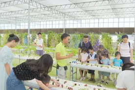 南昌县：假期乡村游 农趣欢乐多图片