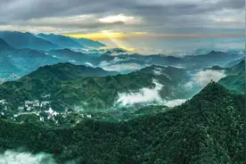 最想去的地方丨临安天目山：享“大树华盖闻九州”之灵气图片