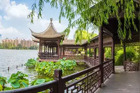 莫愁湖：一座有着1500年悠久历史和丰富人文资源的江南古典名园图片