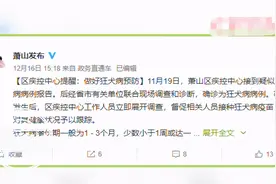 女孩被狗咬后确诊狂犬病，医生提醒：千万不要让猫狗舔伤口图片