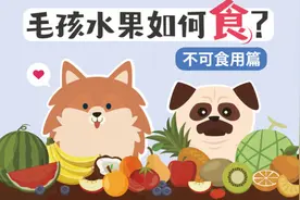 葡萄绝对是致命杀手！　不可喂食狗狗的6种水果图片