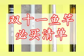 我测评过的这100多根鱼竿里，应该有你需要的那一款图片
