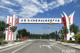 项目攻坚促发展｜沧州：“三个新突破”促项目建设高质量推进图片