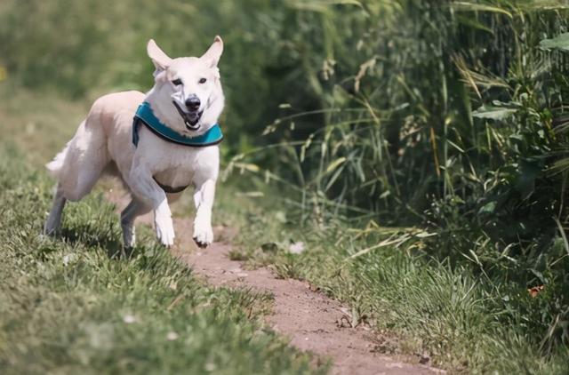 4种快乐激素：能让你爽，让你上瘾，让你开心
