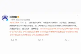 受降雪影响，京津城际、京沪高铁等部分列车晚点或停运图片