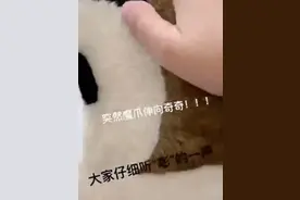 “迪士尼人偶”被打上热搜！这已经不是第一次图片