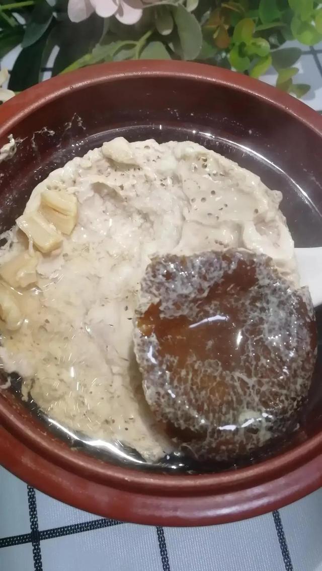 花胶炖清补凉 花胶炖清补凉汤的做法