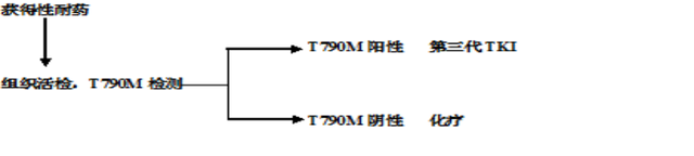 易瑞沙耐药后，晚期肺癌还有多少路可以走？