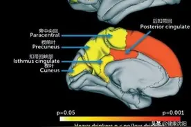 健康科普堂 | 酒文化与酒精所致的精神障碍图片