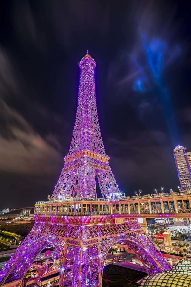 黑蒜炖花胶汤 2026年黑蒜炖花胶汤的功效