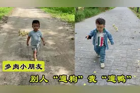 东北2岁小萌娃凭借着“花式溜鸭”火爆了网络，萌翻了无数网友图片