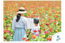 如何养出自律、独立的孩子？父母要牢记“三不惯，两不管”图片