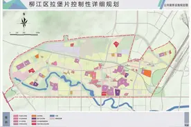 最新规划！拉堡等三个片区将迎来大爆发，道路、学校、医院都有涉及！快看图片