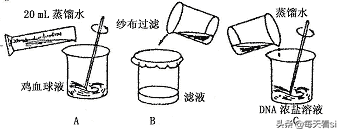 因疫情不能去学校，在家学习生物选修一知识点