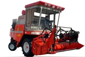 收割油菜籽为啥不使用收割机，农民说的对吗？6点原因所致图片