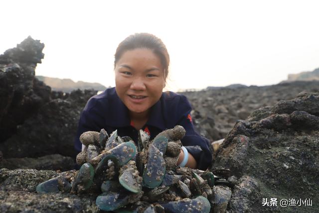 淡菜、海虹、青口、贻贝原来都是它，沿海地区的人基本上吃过