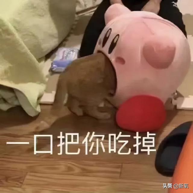 为什么泫雅的身材从来没有崩过？