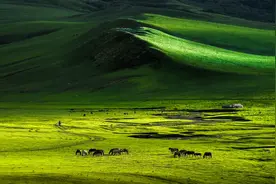 内蒙古赤峰，东北味儿还是华北味儿？图片