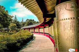 是时候赏秋叶了，邳州艾山景区晓天带您实地踩点到底如何图片