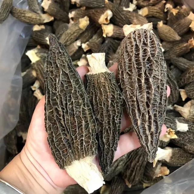 花胶响螺片煲鸡汤的功效 花胶响螺片煲鸡汤的功效与禁忌