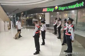 流浪狗赖在商场“葛优瘫”，经理决定让它全家都留下来打工…图片