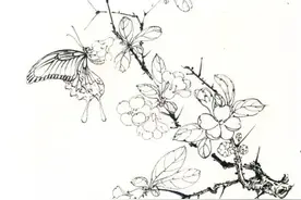 国画技法 | 工笔花卉蝴蝶作品步骤图片