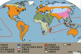 中国的汉语属于什么语系图片