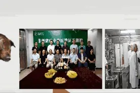 非洲猪瘟的四大弱点，抓好了可防可控图片