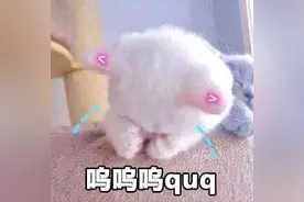 最萌表情库-呜呜，嗯嗯，哼哼，啧啧，吼吼图片