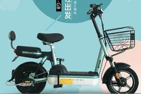 这就是比德文的产品竞争力！两款电轻摩进入目录，多款国标车上市图片
