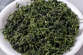 春天蒲公英是宝，教你秘制炒蒲公英茶，有茶香不苦，喝水好处多多图片