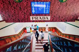 疯抢Prada纸袋的人，放过菜市场吧图片