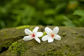 别把脾气当成本领图片