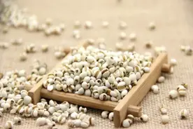 历来受到青睐推崇的薏米，确是调养治疾药食兼用的佳品图片