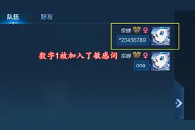 峡谷从此没有1，官方更新敏感词，1成首要目标，玩家因此被禁言图片
