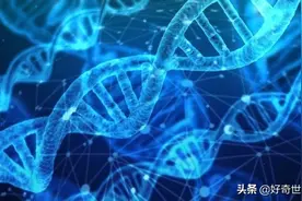 人体组成：身为细胞集合体的你，布满了微生物图片