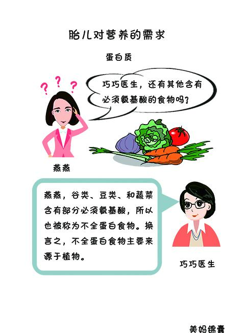 怎样摄取全部的必需氨基酸？