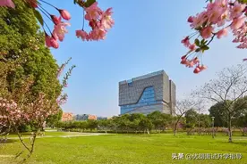 西交利物浦大学2019届毕业生就业质量报告！出路如何？值得选吗？图片