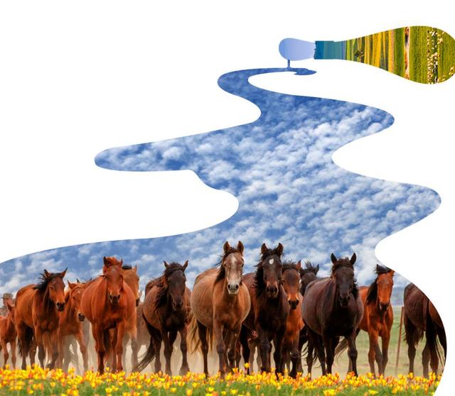 中蕴骏酒发酵马奶酒问世 掀健康饮酒市场新风尚